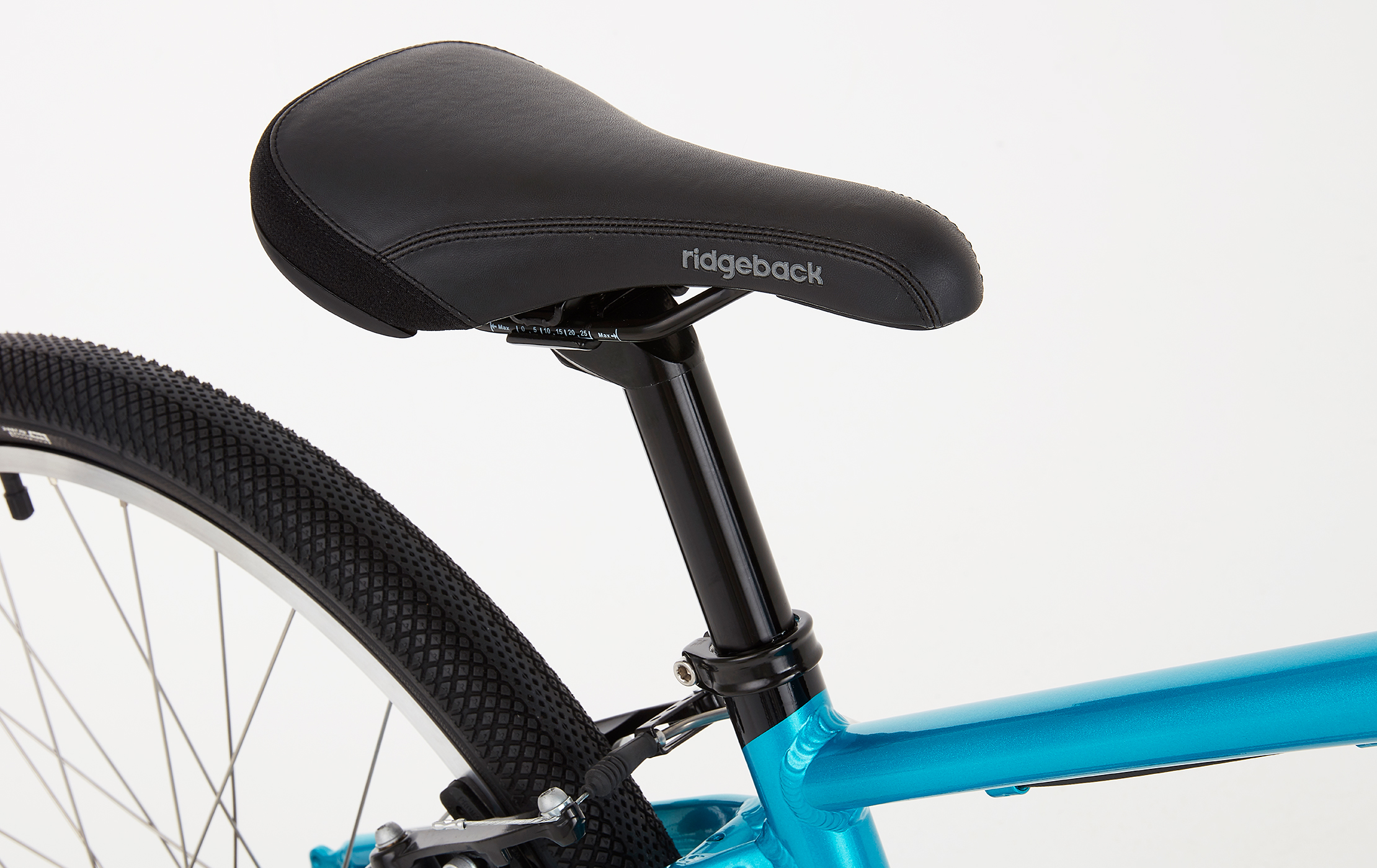 ridgeback dimension 24 review