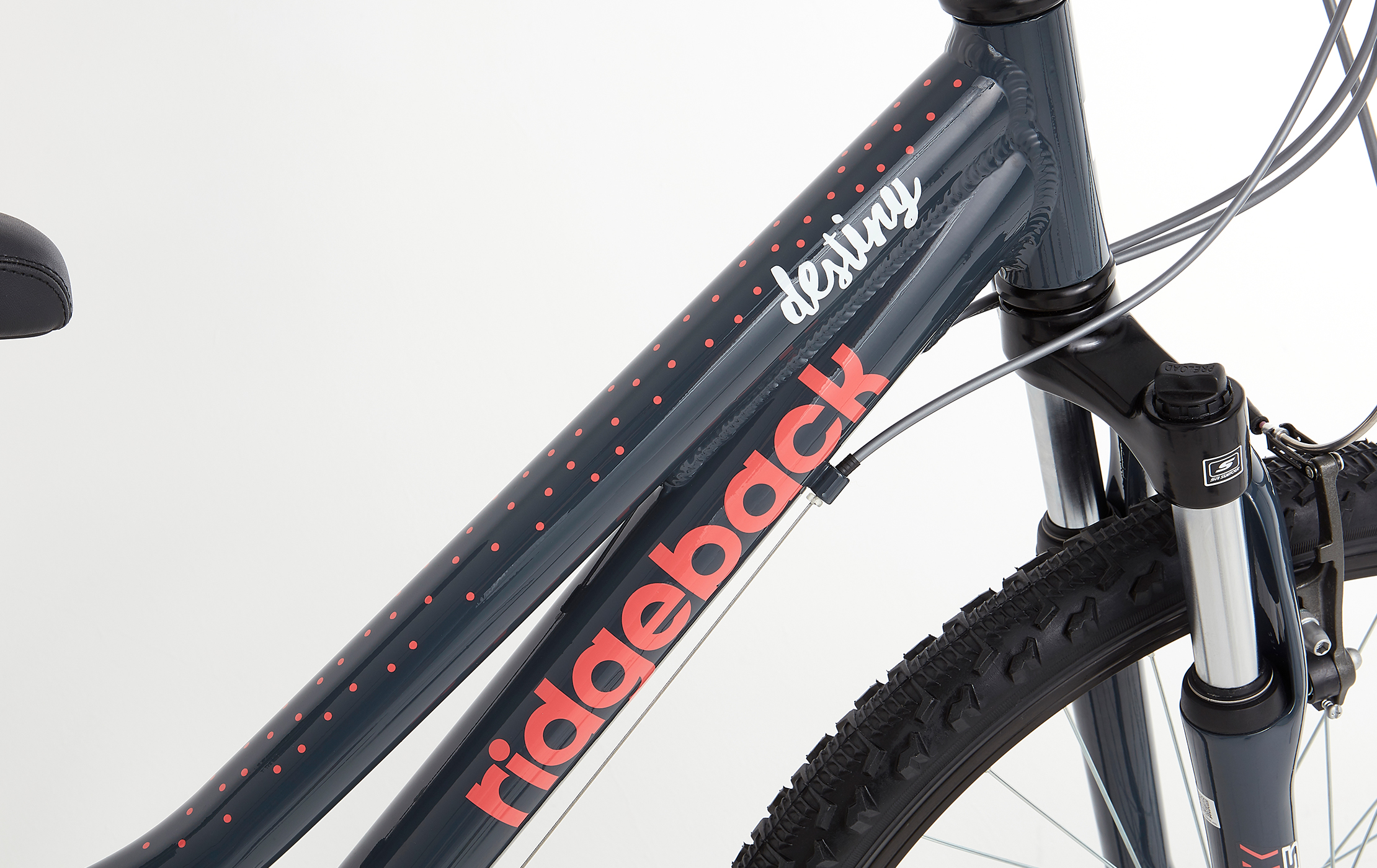 ridgeback destiny bike